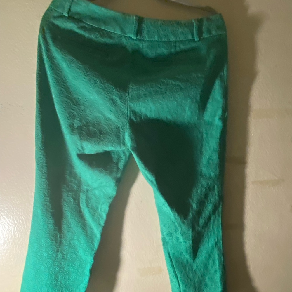 Banana Republic Emerald Hampton fit pants